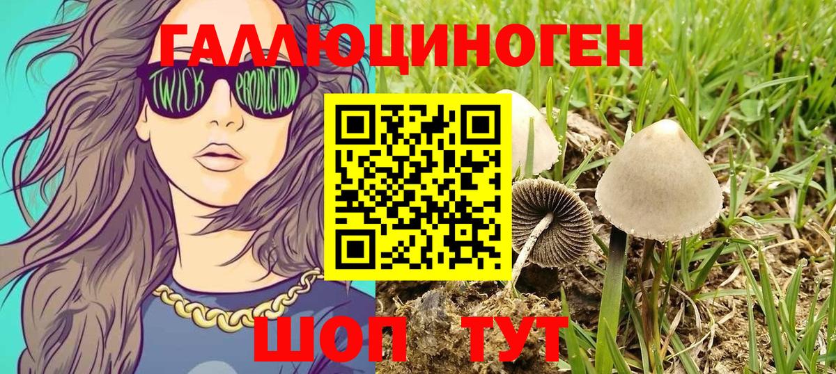 Галлюциногенные грибы ЛСД  магазин    Вход с VPN  Химки  Галлюциногенные грибы Magic Shrooms 